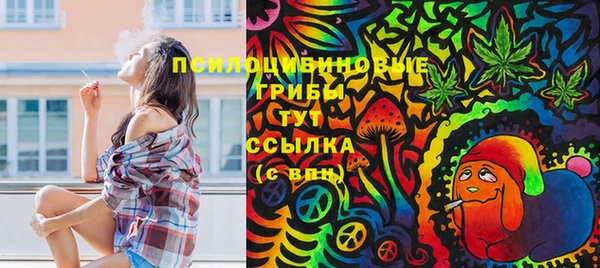 прущие грибы Тихорецк