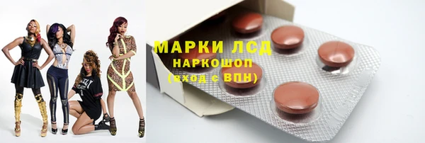 прущие грибы Тобольск