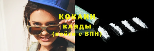 гидра Горнозаводск