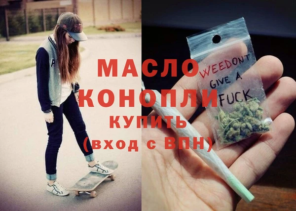 гидра Горнозаводск