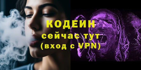 гидра Горнозаводск