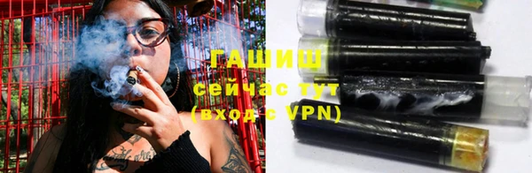 гидра Горнозаводск
