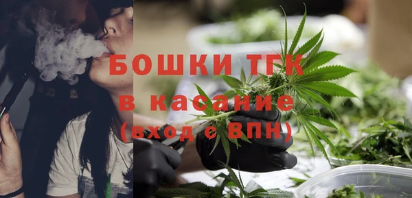 гидра Горнозаводск