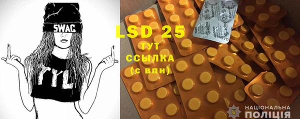 гидра Горнозаводск