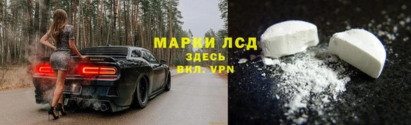 гидра Горнозаводск