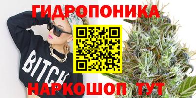 скорость Аргун