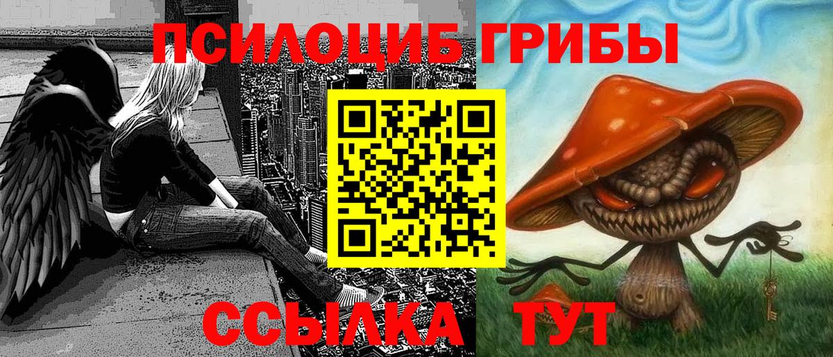 Псилоцибиновые грибы GOLDEN TEACHER Верхняя Пышма