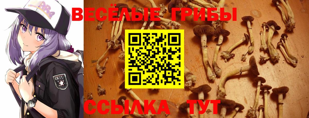 Псилоцибиновые грибы мухоморы  Верхняя Пышма 